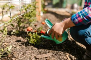 Watering Plants at Bergen County Landscapers Mulch Bed