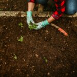 Bergen County Mulch