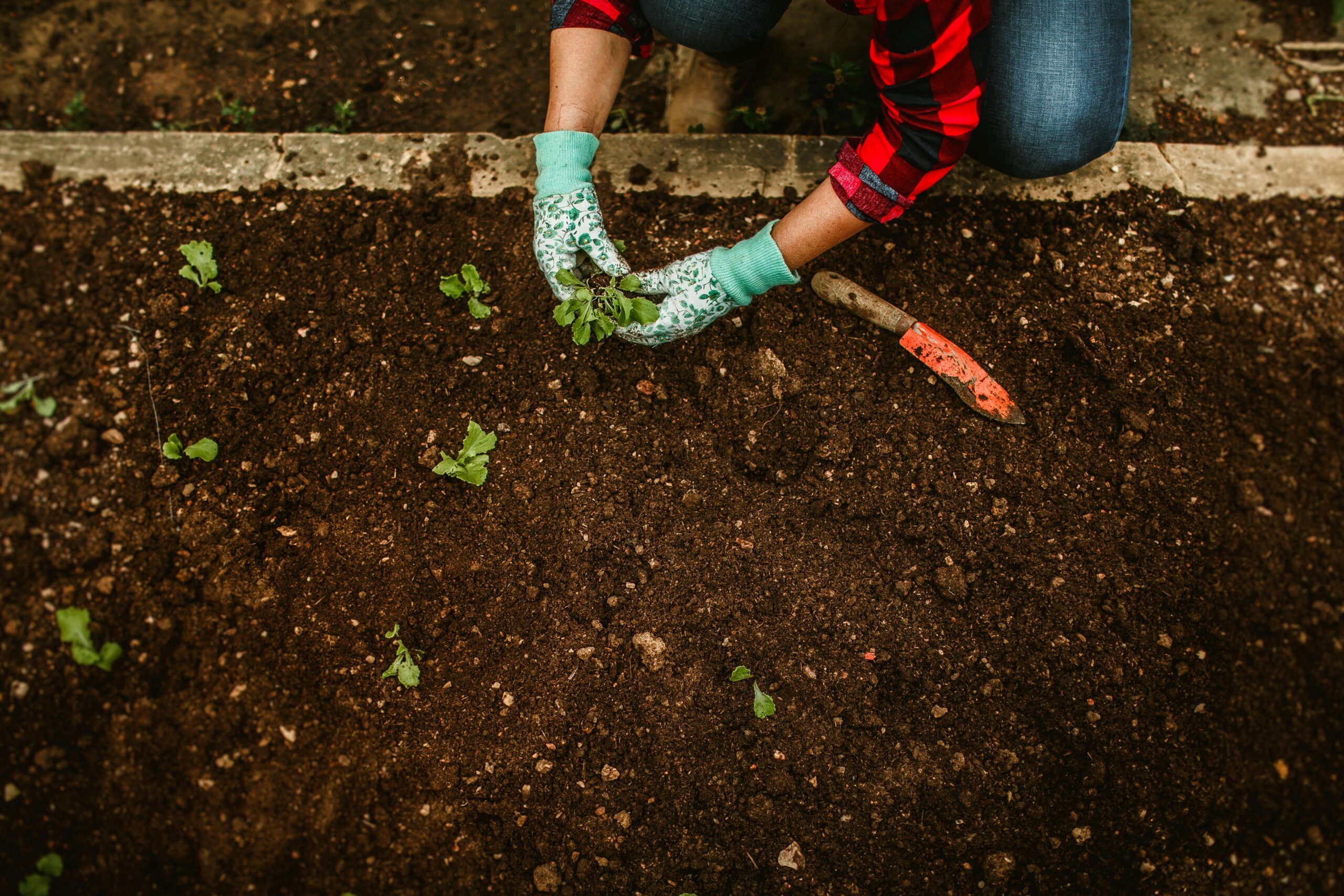 Bergen County Landscapers Mulch Bed Planting